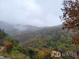 오색 단풍 위로 내린 운무, 문수계곡