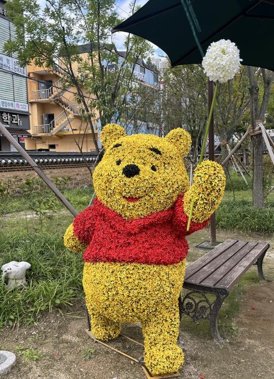 원주시, 가을의 정취와 함께하는 