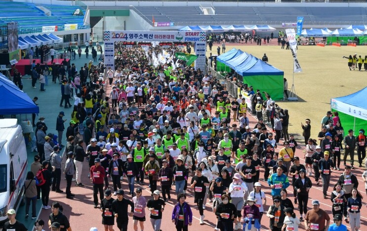 분홍빛 꽃비 속을 달리다..2026 ...