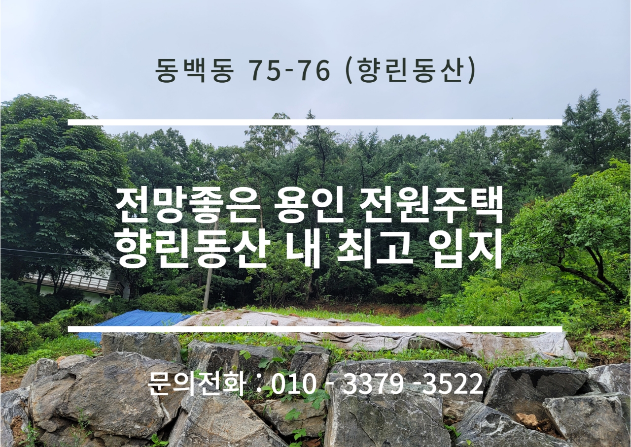 동백동 광고